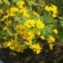 식물원 화장실 이미지