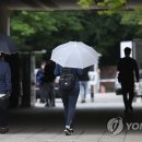 서초구 새벽(주) 서울신문