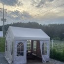 별달보라 이미지