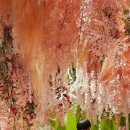 행복한아이들지역아동센터 이미지