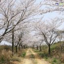 두산목장 네이버블로그