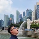 세븐충주모아미래도점 | [여행] 모두투어 3박 5일 싱가포르 여행 : 4,5일 차 🇸🇬