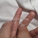휴그린 | 내돈내산 아이랑 아산 스파포레 카라반 휴그린 코치맨 후기