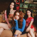 다이브엔터
