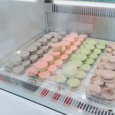 플랑(FLAN) 이미지