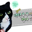 YZ Park 홍대점