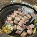 두투미