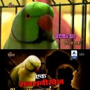 김진성농장 이미지