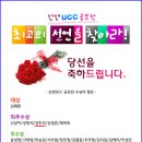 바이럴캣