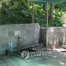 묘안옹달샘 이미지