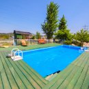 마한애견 이미지