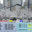 옥길버들초등학교5 이미지