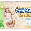 보송 이미지