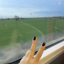 피유빌리지2 | [프랑스] 따사롭고 여유로운 니스 / 에즈,모나코,칸,앙티브 근교여행