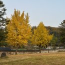장아산근린공원 | 충남 아산에서 만나는 역사 충전 여행 온주아문 및 동헌