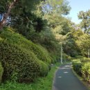 벽제관로 이미지