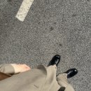 페이퍼릭