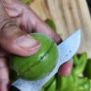 동산농원 | 아삭한 매실장아찌 만드는법(농라 물댄동산농원 청매실)