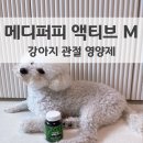 퍼피타임 | 강아지 관절 영양제 메디퍼피 액티브 M 비숑먹인 후기