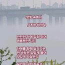 잿빛 속에서/초하 허정숙 이미지