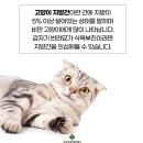 이화동물병원 이미지