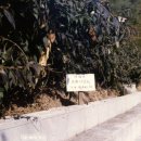 오리초등학교 이미지