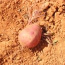 해남농장 이미지