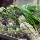 왕생굴구이 이미지