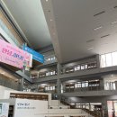 마곡중학교 | 57회 SQL개발자 SQLD 마곡하늬중학교 시험후기