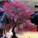 지리산리조트 이미지