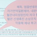 불로스타약국 네이버블로그