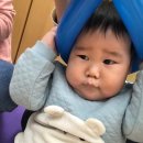 딩동댕 플레이 키즈스쿨(6~10개월) 이미지