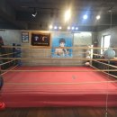 임하식 권투체육관 이미지