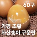 닮 이미지