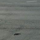 (신명약국앞) 이미지