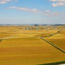 이*순태양광 이미지