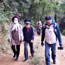 클로바농장 이미지