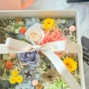 화요일플라워 이미지