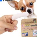 한빛크린 이미지