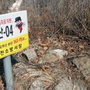 솔밭공원2 이미지