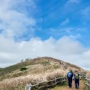 무릉리_마을진입로_012 | 정선 민둥산 억새 증산초 최단코스 편도 1시간 이상 억새축제 현재 상황(10월 8일)