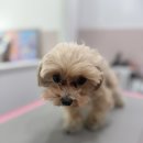 해피멍쓰데이 이미지