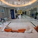 평택요양원 아모르파티 평택요양원 정보 총정리