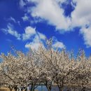 꽃나루공원화장실 이미지