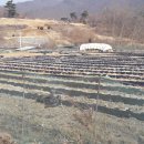 가평땅부동산중개사무소 이미지