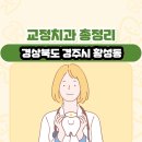 양병석치과의원 | 경상북도 경주시 황성동 교정치과 총정리