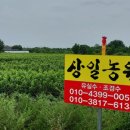 상일농원 이미지