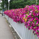 크로앙스스튜디오