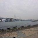 늘보 당구장 이미지