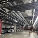 쿄우 | 광주 첨단 요쿄우라멘 내돈내산 솔직후기